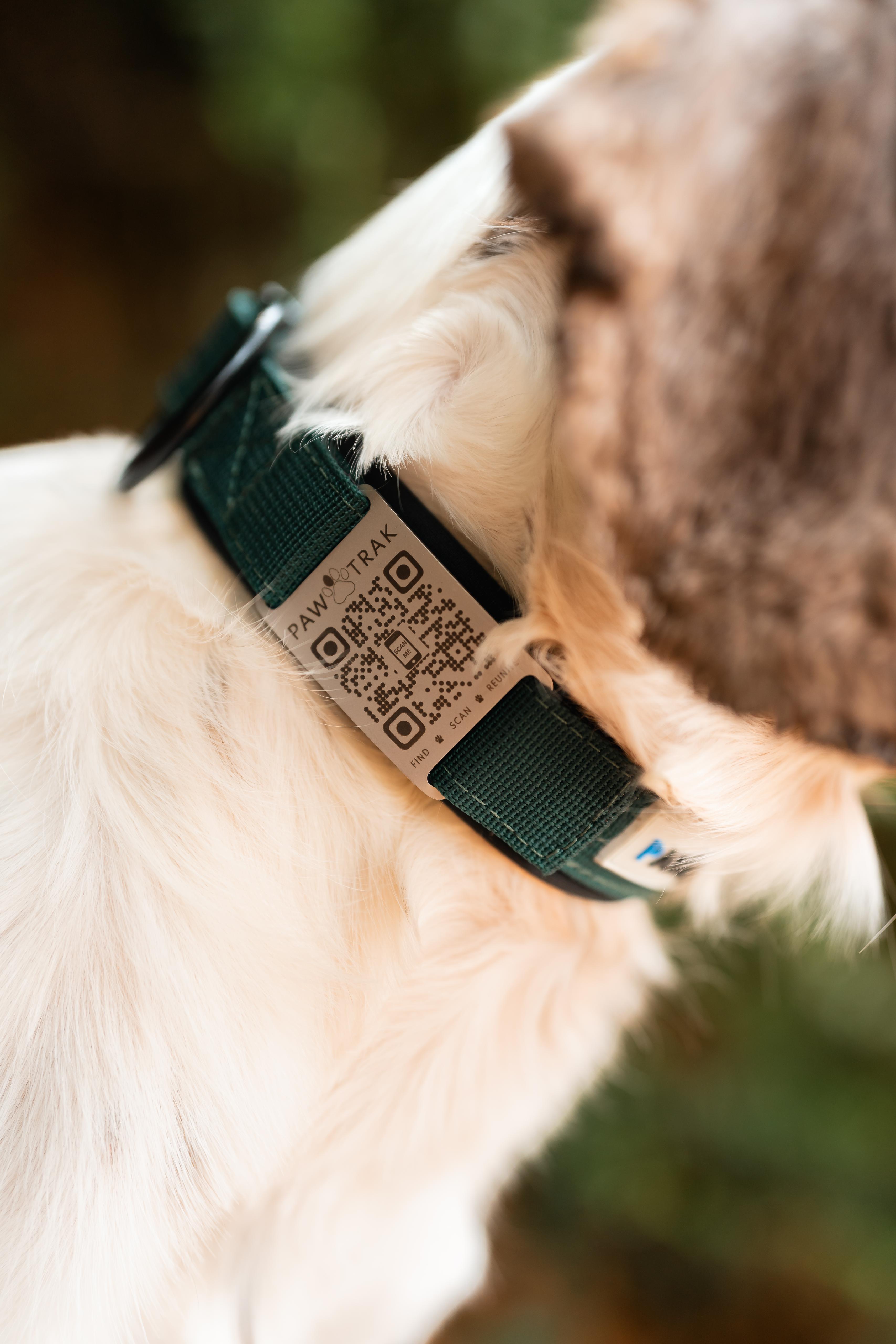 Subscription Pricing